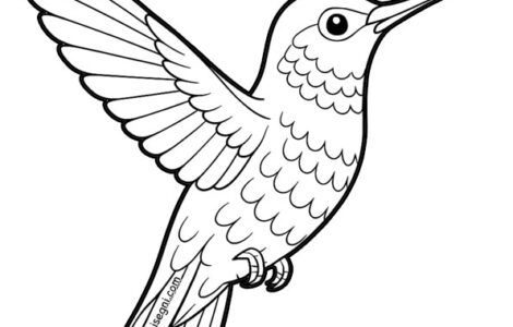 colibri