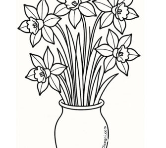 vaso narcisi