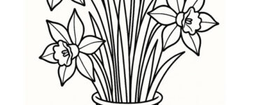 vaso narcisi