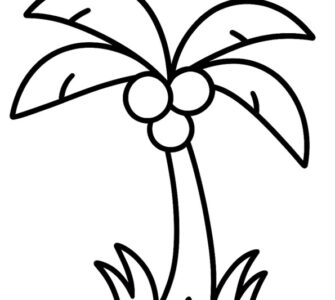palma albero