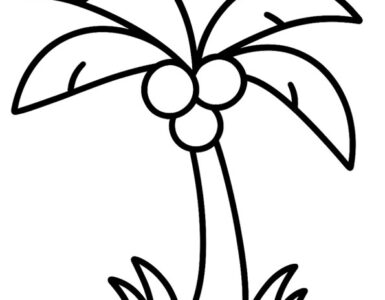 palma albero