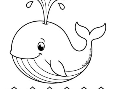 balena che spruzza acqua