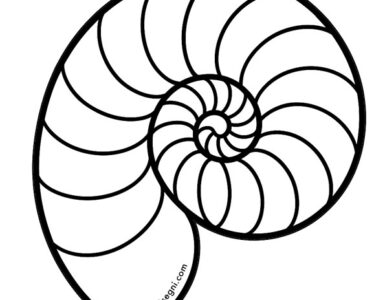 conchiglia di nautilus