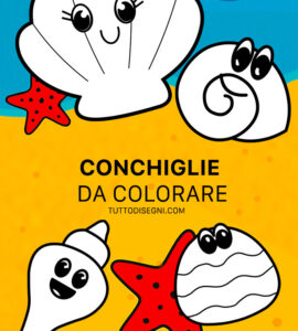 speciale conchiglie