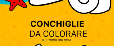 speciale conchiglie