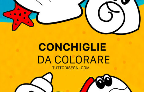 speciale conchiglie