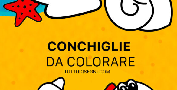 speciale conchiglie