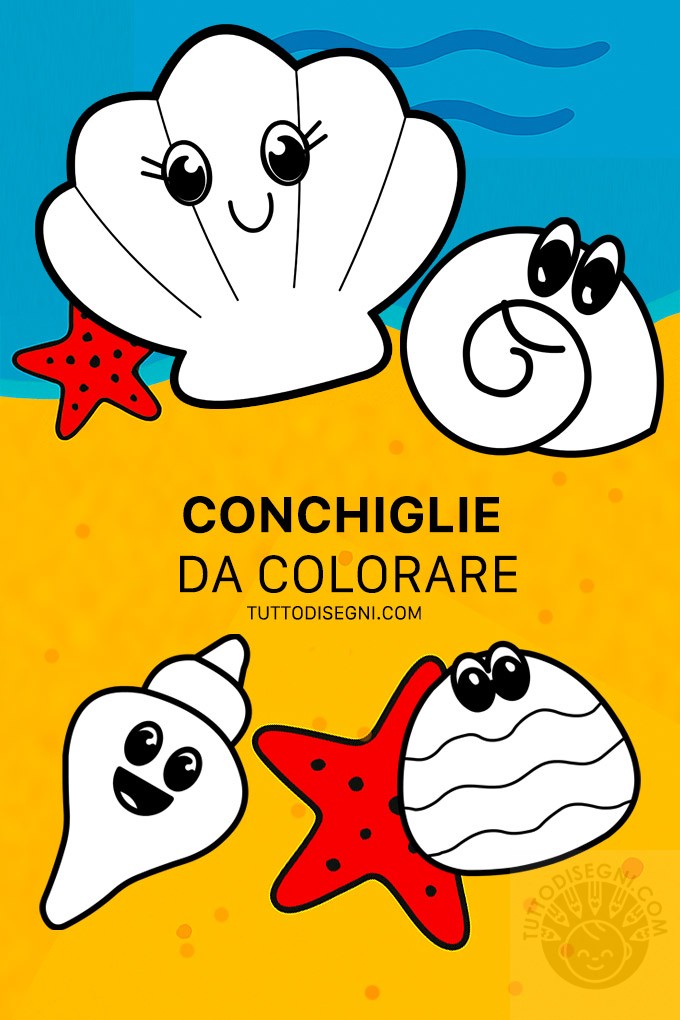 speciale conchiglie