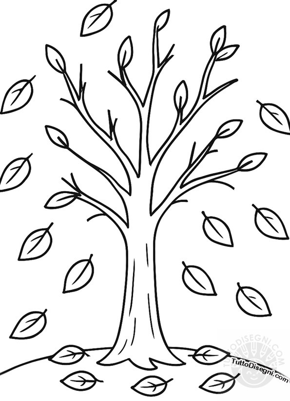 albero con foglie che cadono