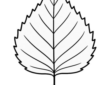 foglia betulla