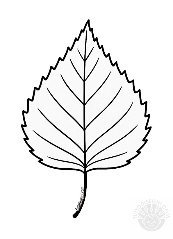 Foglia di betulla da colorare in bianco e nero.