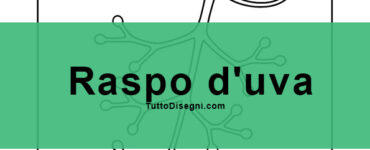 raspo uva