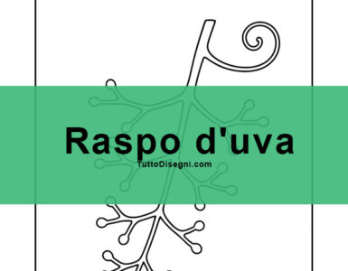 raspo uva