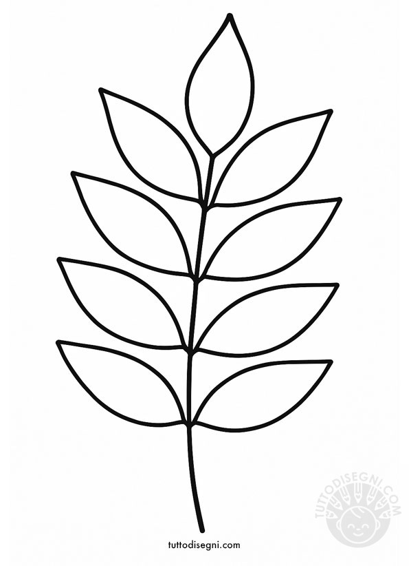 foglia di frassino