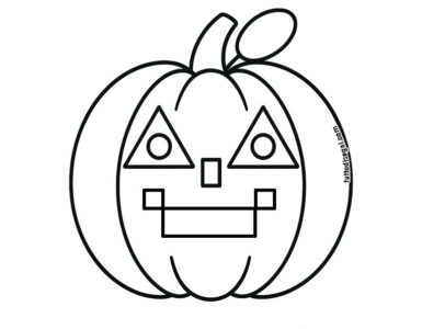scheda zucca figure