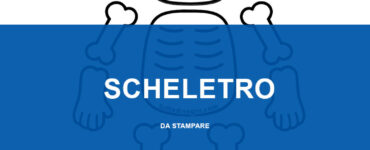 scheletro carta lavoretto