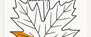 speciale foglie autunno