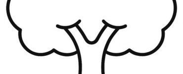 Albero con chioma e radici