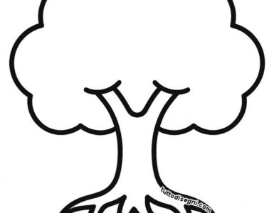 Albero con chioma e radici 7 Albero con chioma e radici