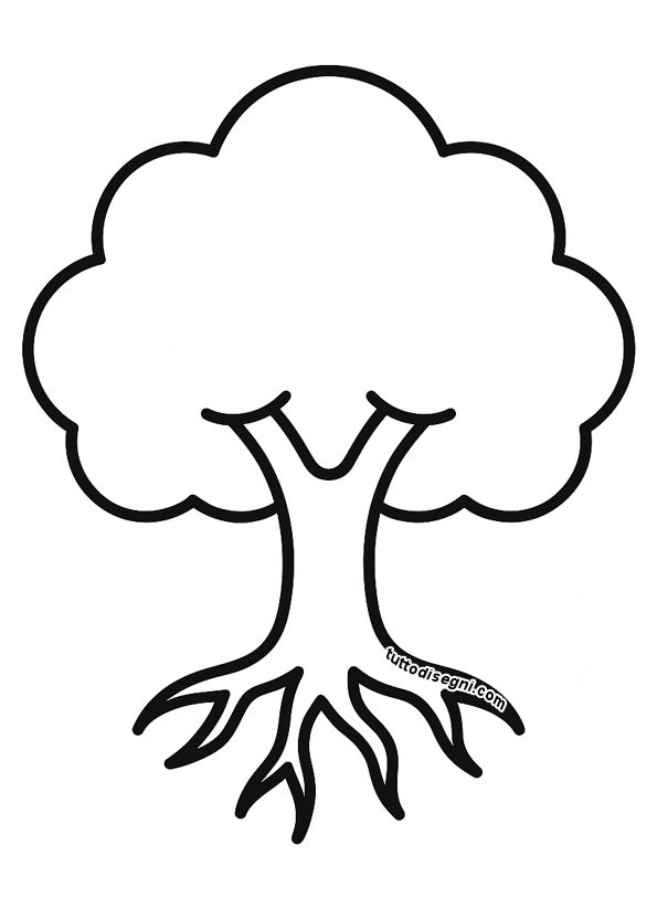 Albero con chioma e radici 3 Albero con chioma e radici