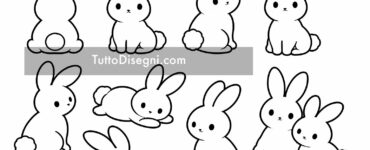 conigli disegni