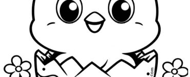 pulcino che esce dalluovo