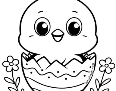 pulcino che esce dalluovo