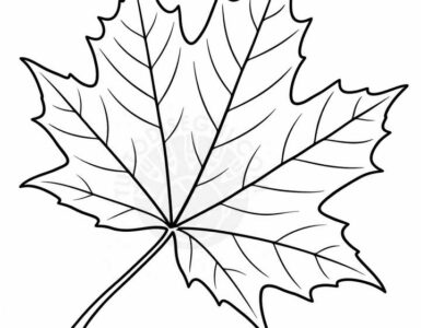 foglia acero disegno