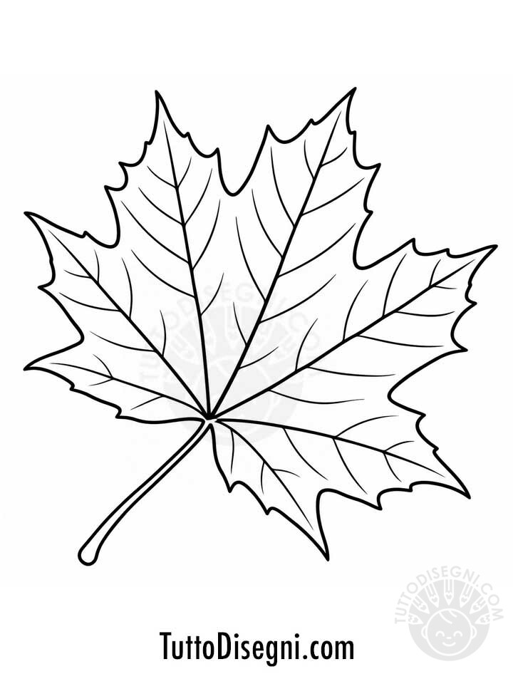 Foglia acero disegno 1 Disegno di una foglia di acero da colorare con contorni neri e venature su sfondo bianco.
